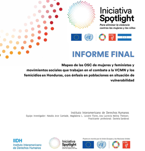 Informe final – Mapeo de las organizaciones de mujeres y feministas y movimientos sociales que trabajan en el combate a la VCMN y los femicidios en Honduras, con énfasis en poblaciones en situación de vulnerabilidad. de la VCMNyF