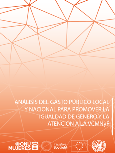 Informe- Análisis del gasto público local y nacional para promover la igualdad de género y la atención a la VCMNyF