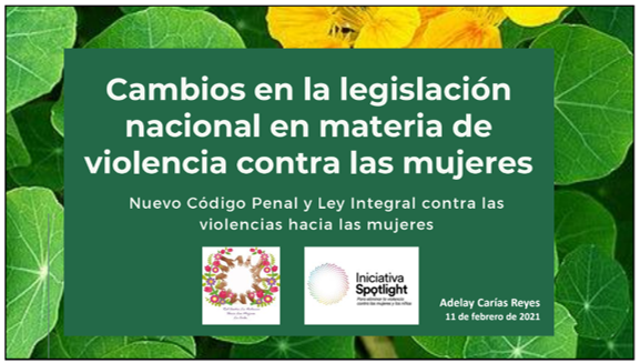 Cambios en la legislación nacional en materia de violencia contra las mujeres – Nuevo Código Penal y Ley Integral contra las violencias hacia las mujeres