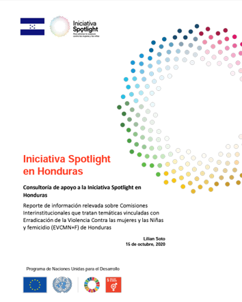 Reporte de información relevada sobre Comisiones Interinstitucionales que tratan temáticas vinculadas con Erradicación de la Violencia Contra las mujeres y las Niñas y femicidio (EVCMN+F) de Honduras